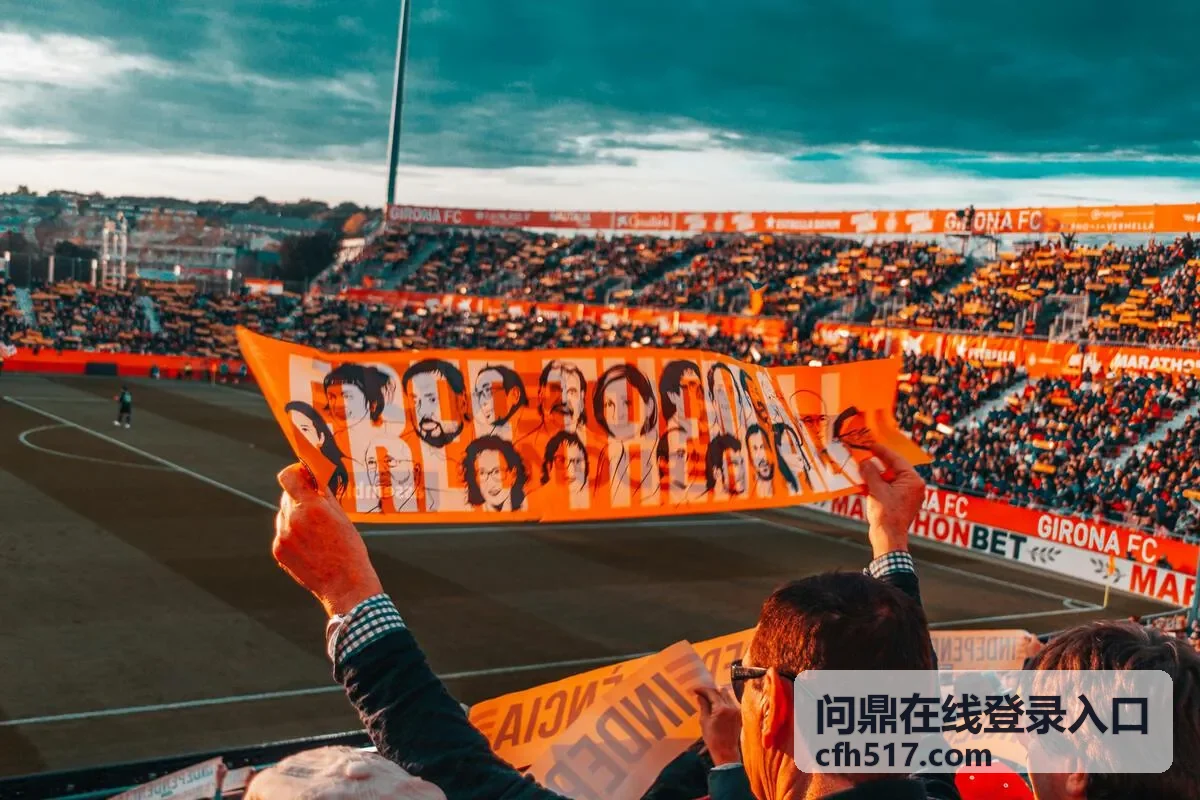 问鼎在线登录入口账号操作记录复核界面